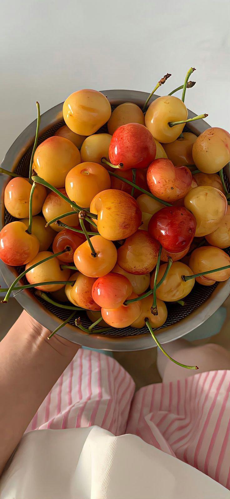Rustic Roots and Fruits Treasure Trove